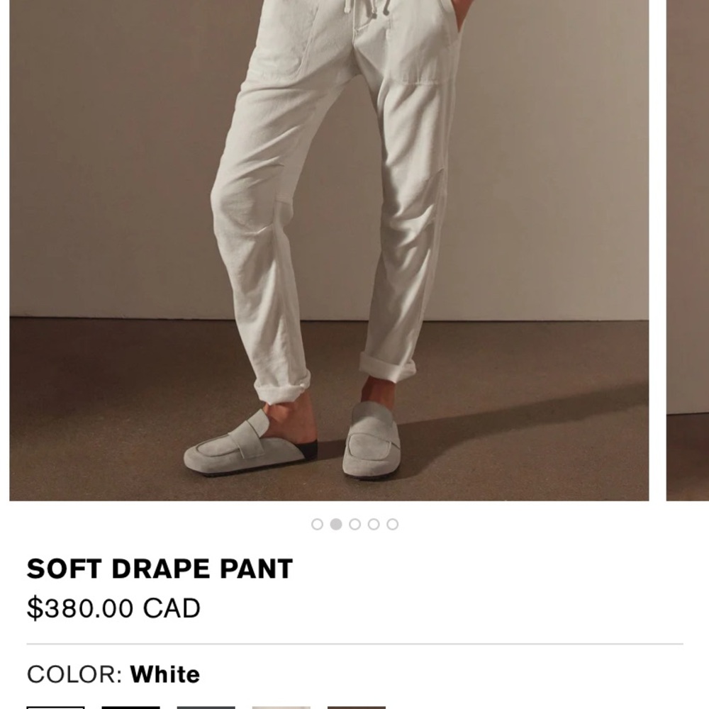 James Perse Soft Drape Pants in sise 2 (M)